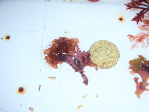 ( - GWS046026)  @11 [ ] Unspecified (default): All Rights Reserved  Unspecified Unspecified