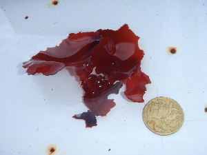  ( - GWS046130)  @11 [ ] Unspecified (default): All Rights Reserved  Unspecified Unspecified