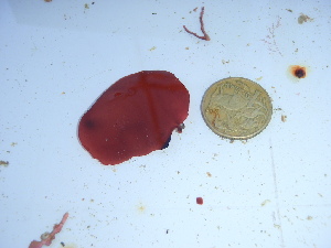  ( - GWS046140)  @11 [ ] Unspecified (default): All Rights Reserved  Unspecified Unspecified