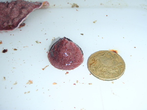  ( - GWS046235)  @11 [ ] Unspecified (default): All Rights Reserved  Unspecified Unspecified