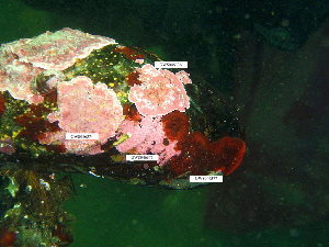  ( - GWS046376)  @11 [ ] Unspecified (default): All Rights Reserved  Unspecified Unspecified