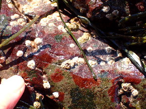  ( - GWS046541)  @11 [ ] Unspecified (default): All Rights Reserved  Unspecified Unspecified