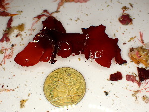  ( - GWS047605)  @11 [ ] Unspecified (default): All Rights Reserved  Unspecified Unspecified