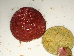  ( - GWS047938)  @11 [ ] Unspecified (default): All Rights Reserved  Unspecified Unspecified