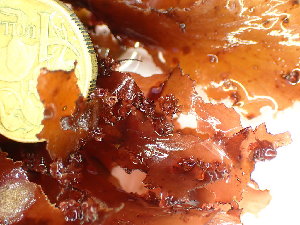 ( - GWS047972)  @11 [ ] Unspecified (default): All Rights Reserved  Unspecified Unspecified
