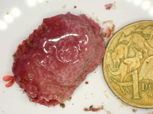  ( - GWS047986)  @11 [ ] Unspecified (default): All Rights Reserved  Unspecified Unspecified