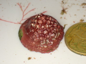  ( - GWS048021)  @11 [ ] Unspecified (default): All Rights Reserved  Unspecified Unspecified