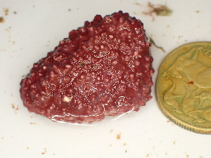  ( - GWS048024)  @11 [ ] Unspecified (default): All Rights Reserved  Unspecified Unspecified