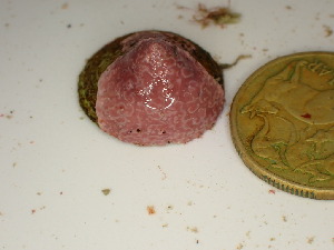  ( - GWS048025)  @11 [ ] Unspecified (default): All Rights Reserved  Unspecified Unspecified