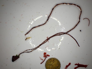  ( - GWS048120)  @11 [ ] Unspecified (default): All Rights Reserved  Unspecified Unspecified