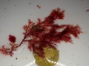  ( - GWS048162)  @11 [ ] Unspecified (default): All Rights Reserved  Unspecified Unspecified