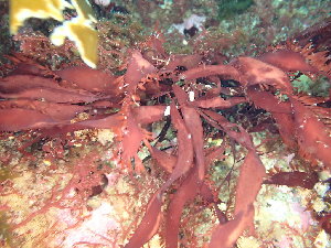  ( - GWS048201)  @11 [ ] Unspecified (default): All Rights Reserved  Unspecified Unspecified