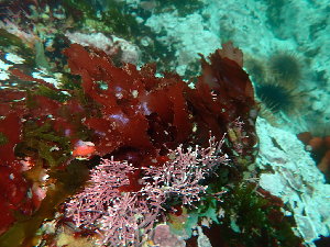 ( - GWS048213)  @11 [ ] Unspecified (default): All Rights Reserved  Unspecified Unspecified