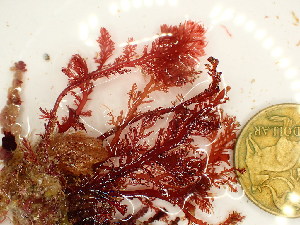  ( - GWS048222)  @11 [ ] Unspecified (default): All Rights Reserved  Unspecified Unspecified