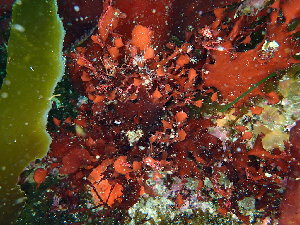  ( - GWS048432)  @11 [ ] Unspecified (default): All Rights Reserved  Unspecified Unspecified