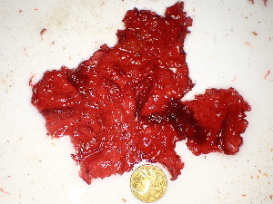  ( - GWS048446)  @11 [ ] Unspecified (default): All Rights Reserved  Unspecified Unspecified