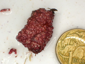  ( - GWS048604)  @11 [ ] Unspecified (default): All Rights Reserved  Unspecified Unspecified
