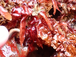  ( - GWS048693)  @11 [ ] Unspecified (default): All Rights Reserved  Unspecified Unspecified