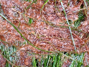  ( - GWS048696)  @11 [ ] Unspecified (default): All Rights Reserved  Unspecified Unspecified