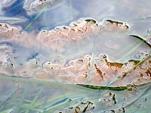  ( - GWS048698)  @11 [ ] Unspecified (default): All Rights Reserved  Unspecified Unspecified