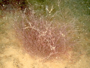  ( - GWS048702)  @11 [ ] Unspecified (default): All Rights Reserved  Unspecified Unspecified