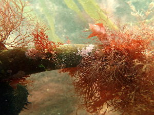  ( - GWS048739)  @11 [ ] Unspecified (default): All Rights Reserved  Unspecified Unspecified