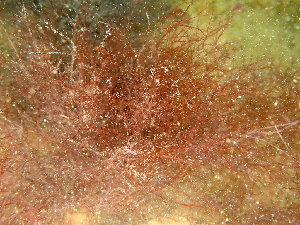  ( - GWS048754)  @11 [ ] Unspecified (default): All Rights Reserved  Unspecified Unspecified