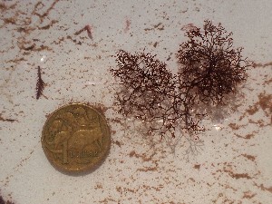  ( - GWS049449)  @11 [ ] Unspecified (default): All Rights Reserved  Unspecified Unspecified