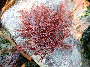  ( - GWS050060)  @11 [ ] Unspecified (default): All Rights Reserved  Unspecified Unspecified