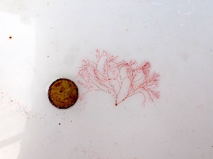  ( - GWS050066)  @11 [ ] Unspecified (default): All Rights Reserved  Unspecified Unspecified