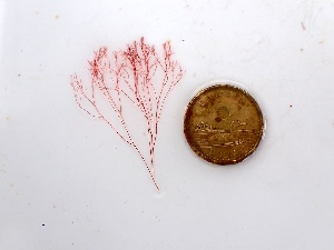  ( - GWS050128)  @11 [ ] Unspecified (default): All Rights Reserved  Unspecified Unspecified