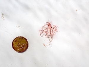  ( - GWS050149)  @11 [ ] Unspecified (default): All Rights Reserved  Unspecified Unspecified