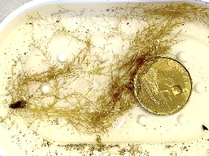  ( - GWS050229)  @11 [ ] Unspecified (default): All Rights Reserved  Unspecified Unspecified