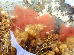  ( - GWS050321)  @11 [ ] Unspecified (default): All Rights Reserved  Unspecified Unspecified