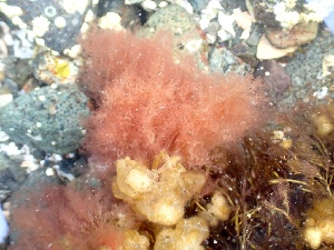  ( - GWS050322)  @11 [ ] Unspecified (default): All Rights Reserved  Unspecified Unspecified