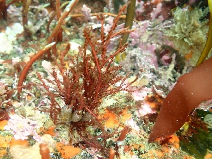  ( - GWS050343)  @11 [ ] Unspecified (default): All Rights Reserved  Unspecified Unspecified