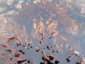  ( - GWS050358)  @11 [ ] Unspecified (default): All Rights Reserved  Unspecified Unspecified