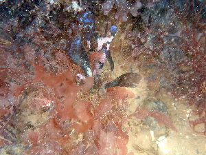  ( - GWSX047069)  @11 [ ] Unspecified (default): All Rights Reserved  Unspecified Unspecified