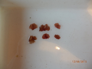  ( - KAM0106)  @11 [ ] Unspecified (default): All Rights Reserved  Unspecified Unspecified
