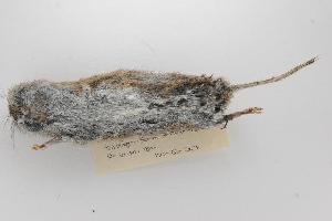  ( - ROM 118719)  @13 [ ] Copyright (2010) Unspecified Unspecified