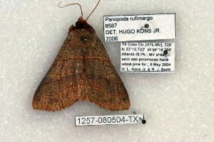  ( - 1257-080504-TX)  @12 [ ] Copyright (2008) Robert J. Borth Research Collection of Robert J. Borth