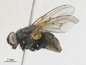  ( - CBG-A21632-G05)  @11 [ ] CreativeCommons - Attribution Share - Alike (2024) CBG Photography Group Centre for Biodiversity Genomics