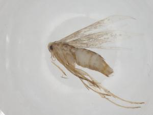  ( - CBG-A24740-G10)  @11 [ ] CreativeCommons - Attribution Share - Alike (2024) Centre for Biodiversity Genomics Centre for Biodiversity Genomics