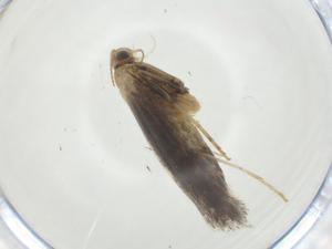  ( - CBG-A24744-G11)  @11 [ ] CreativeCommons - Attribution Share - Alike (2024) Centre for Biodiversity Genomics Centre for Biodiversity Genomics