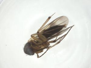  ( - CBG-A24744-H05)  @11 [ ] CreativeCommons - Attribution Share - Alike (2024) Centre for Biodiversity Genomics Centre for Biodiversity Genomics