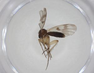  ( - CBG-A24772-F03)  @11 [ ] CreativeCommons - Attribution Share - Alike (2024) Centre for Biodiversity Genomics Centre for Biodiversity Genomics