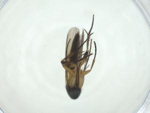  ( - CBG-A24774-G01)  @11 [ ] CreativeCommons - Attribution Share - Alike (2024) Centre for Biodiversity Genomics Centre for Biodiversity Genomics