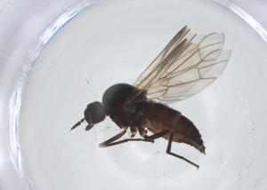  ( - CBG-A25832-F06)  @11 [ ] CreativeCommons - Attribution Share - Alike (2024) Centre for Biodiversity Genomics Centre for Biodiversity Genomics