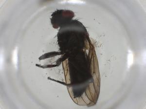  ( - CBG-A25840-B08)  @11 [ ] CreativeCommons - Attribution Share - Alike (2024) Centre for Biodiversity Genomics Centre for Biodiversity Genomics