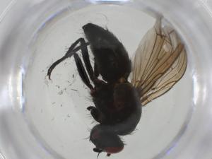  ( - CBG-A25840-F04)  @11 [ ] CreativeCommons - Attribution Share - Alike (2024) Centre for Biodiversity Genomics Centre for Biodiversity Genomics